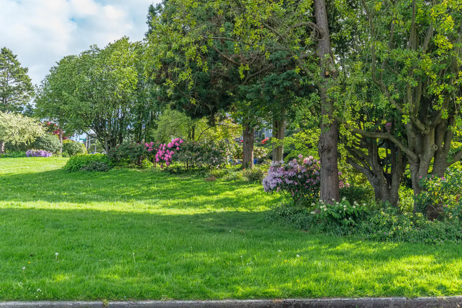 Lindegaard Entreprenør & Landbrug - Smukt grønt landskab med træer og blomster.