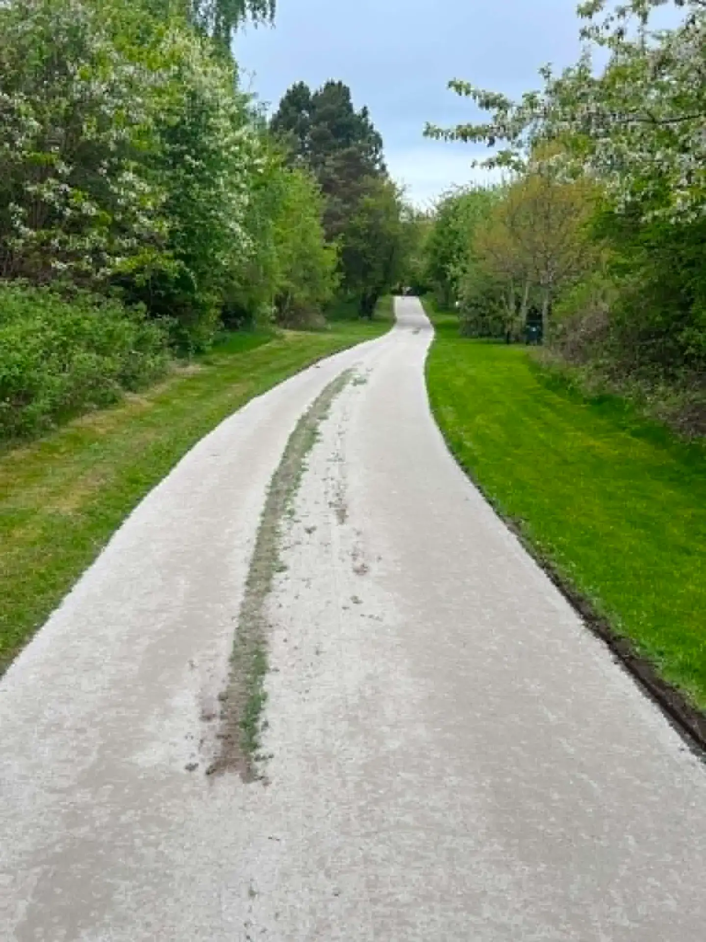 Håndgruset vej gennem grønne træer og buske i landdistriktsområde.
