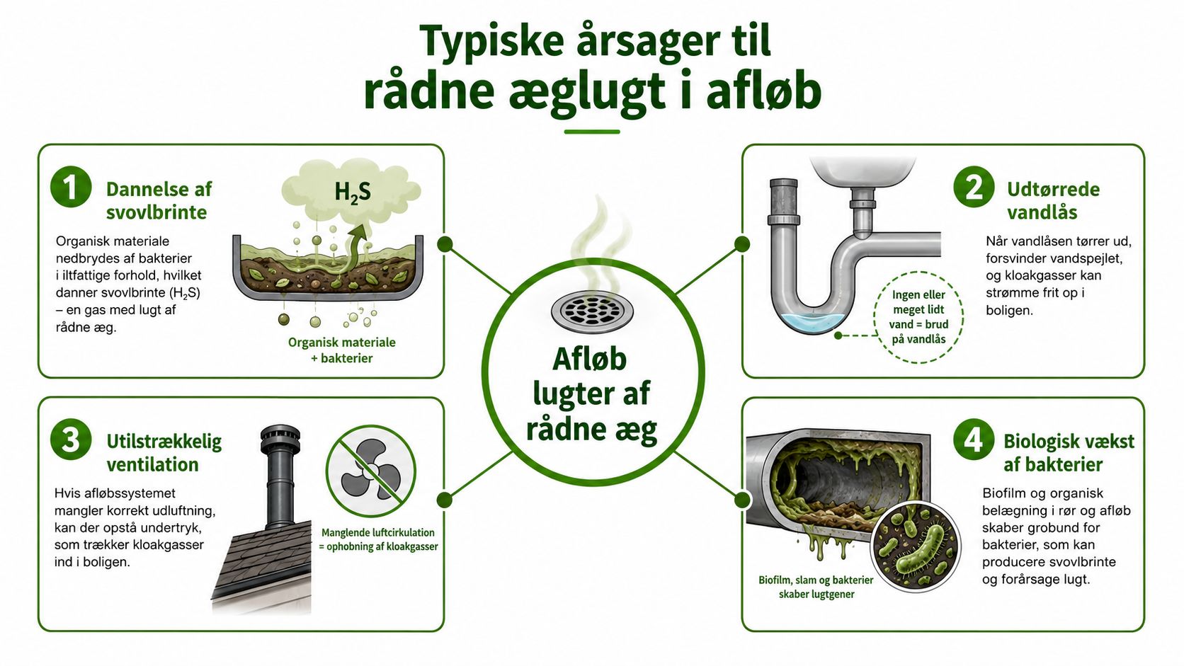 Infografik der forklarer de fire typiske årsager til, hvorfor et afløb lugter af rådne æg i boligen.
