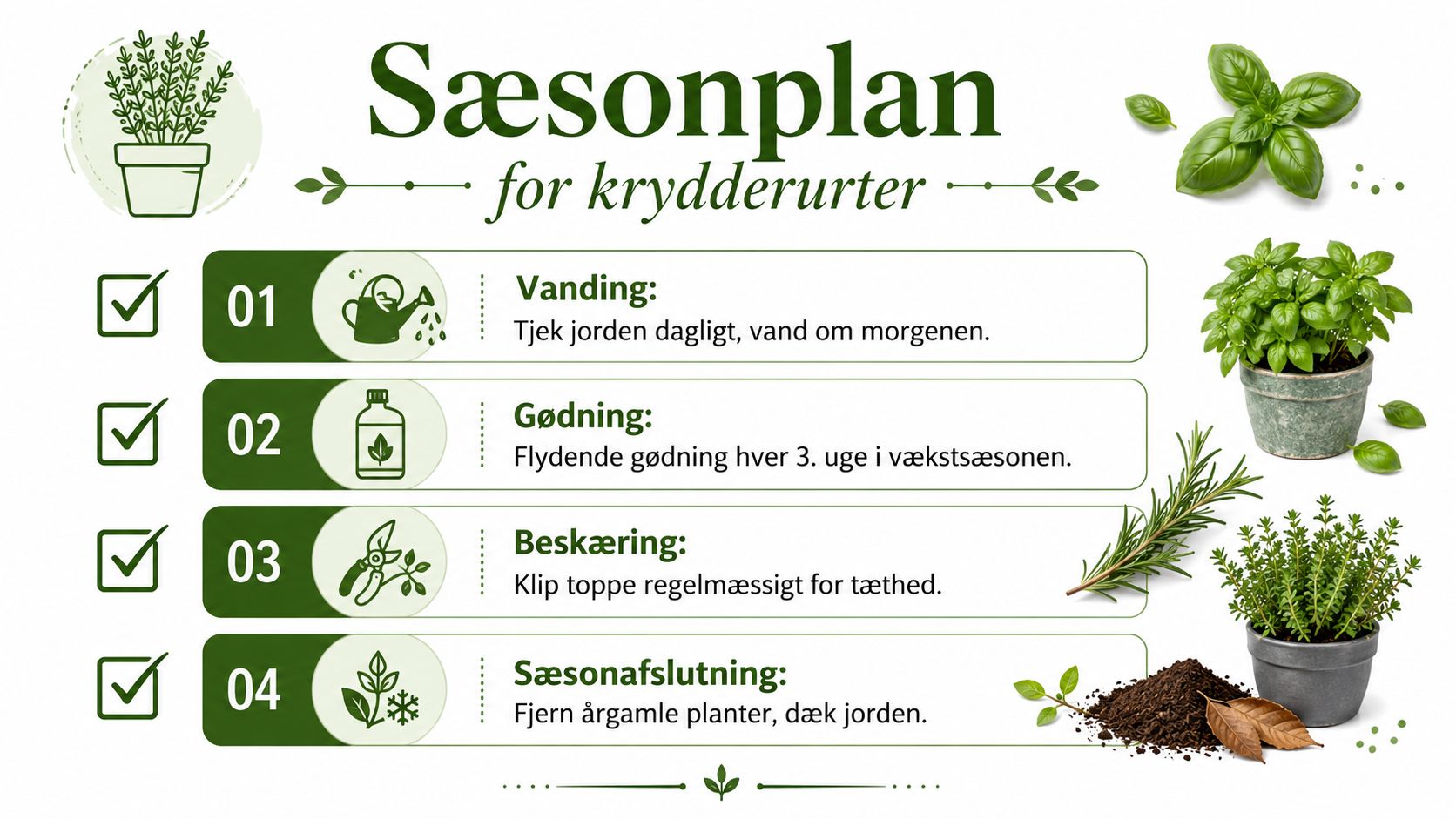 Sæsonplan for krydderurter med ikoner og trin.