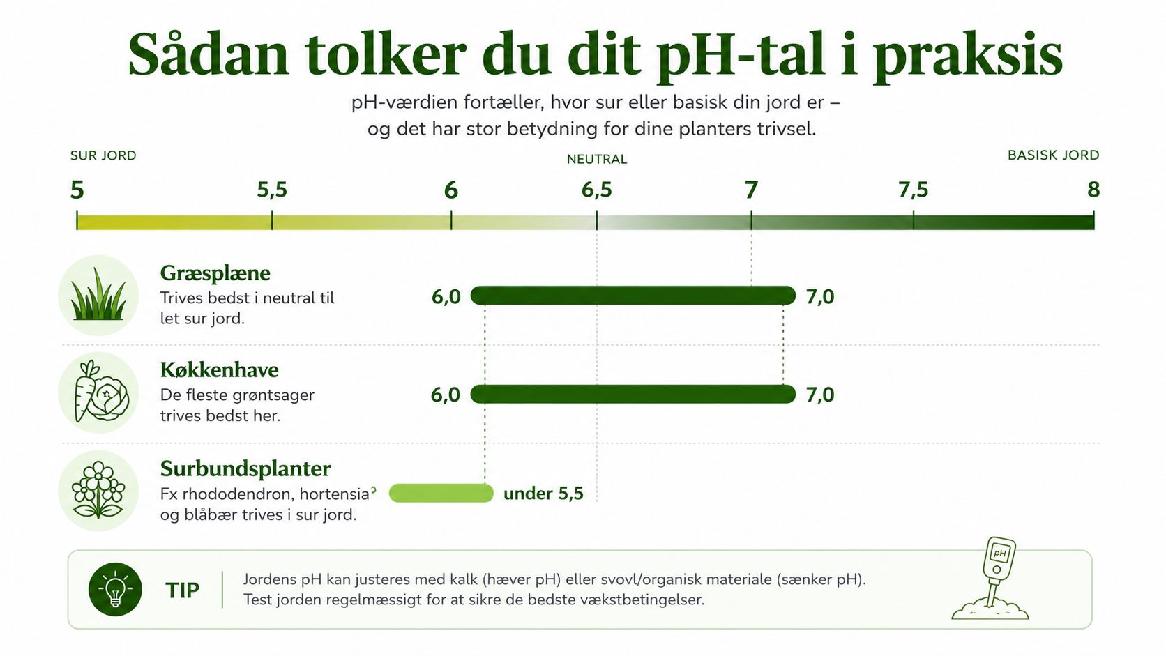 Infografik der viser de optimale pH-værdier for græsplæner, køkkenhaver og surbundsplanter i dansk jord.