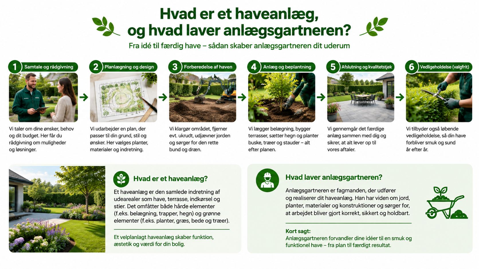 En infografik der viser de seks trin i processen fra haveplanlægning til færdigt haveanlæg og vedligeholdelse.